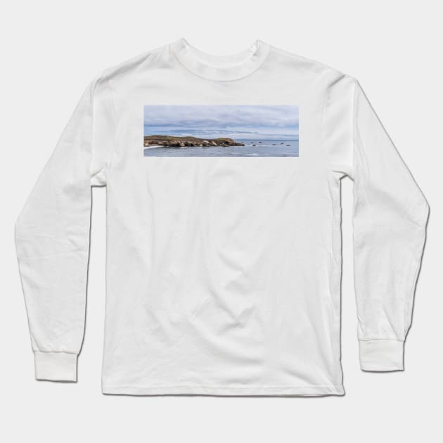 Pelican Race Long Sleeve T-Shirt by MCHerdering